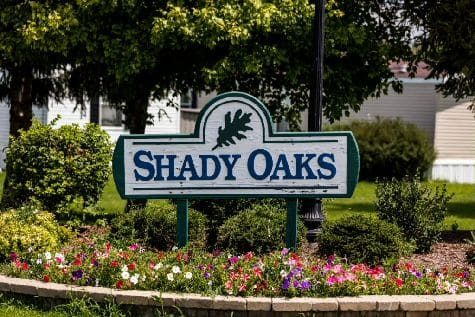 Shady Oaks